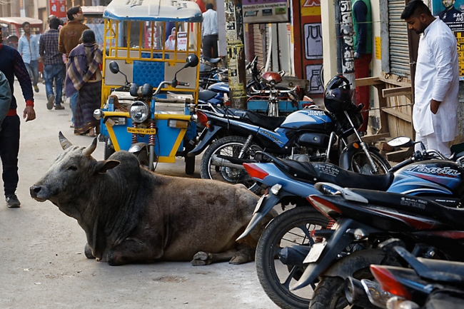 Varanasi-Les ghats-016
